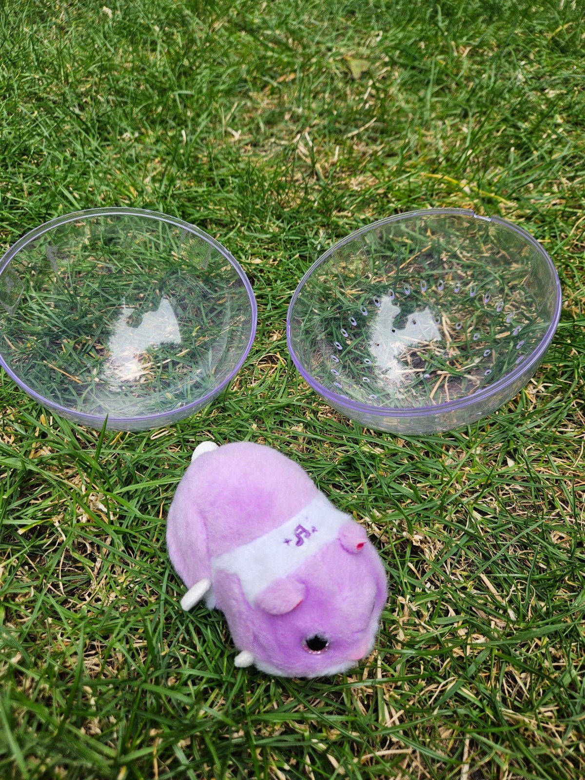 Hamsterbal met interactieve hamster - Paars, Ophalen, Jongen of Meisje