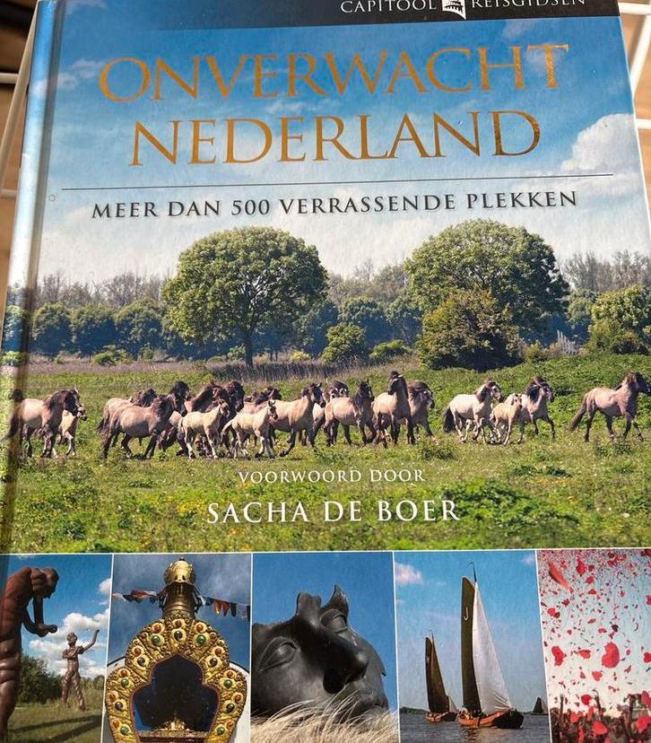 Onverwacht Nederland - Capitool Reisgids, Boeken, Gelezen, Capitool, Europa, Ophalen of Verzenden