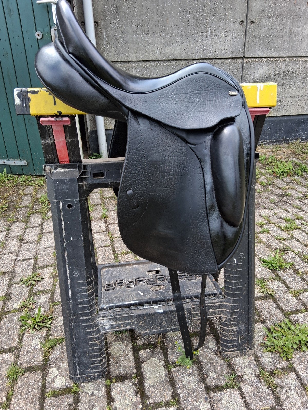 Te koop mooie fryso Comfort, Ophalen, Gebruikt, Dressuur