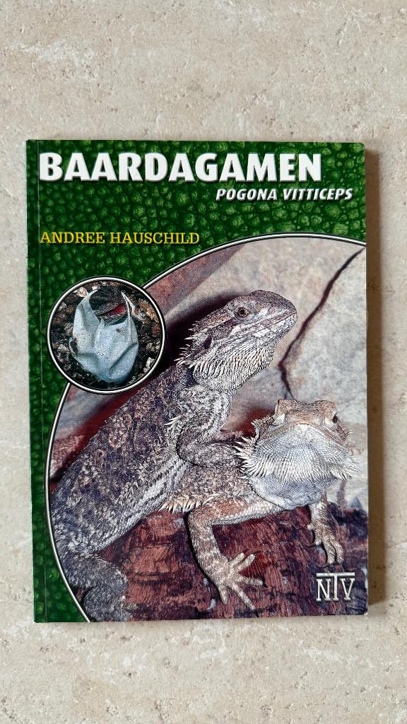 Boek Baardagamen, Hagedis, 0 tot 2 jaar