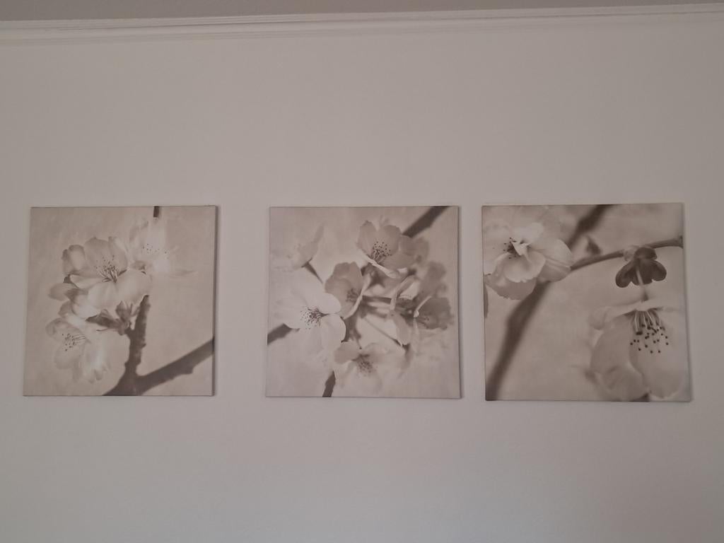 Drieluik canvas sepia schilderijen, Ophalen, Gebruikt
