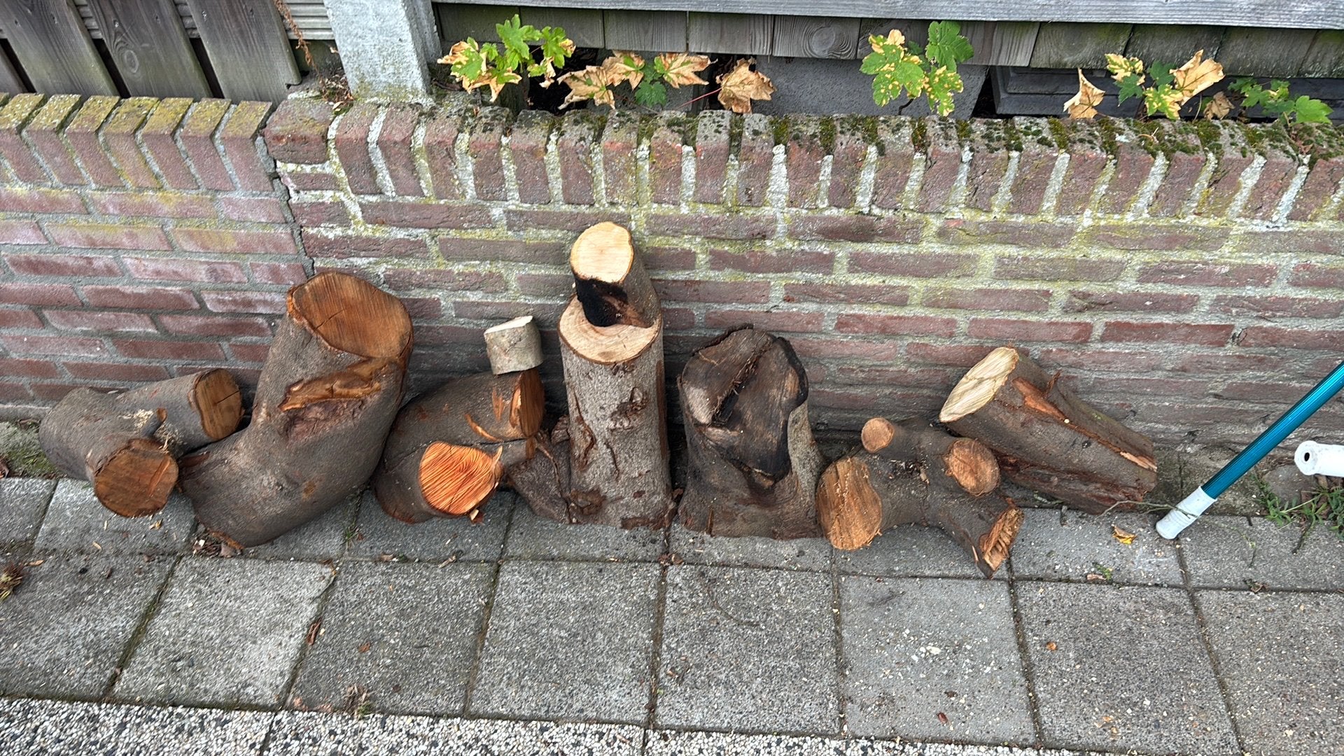 Boomstammen voor haardhout, Minder dan 3 m³, Ophalen of Verzenden