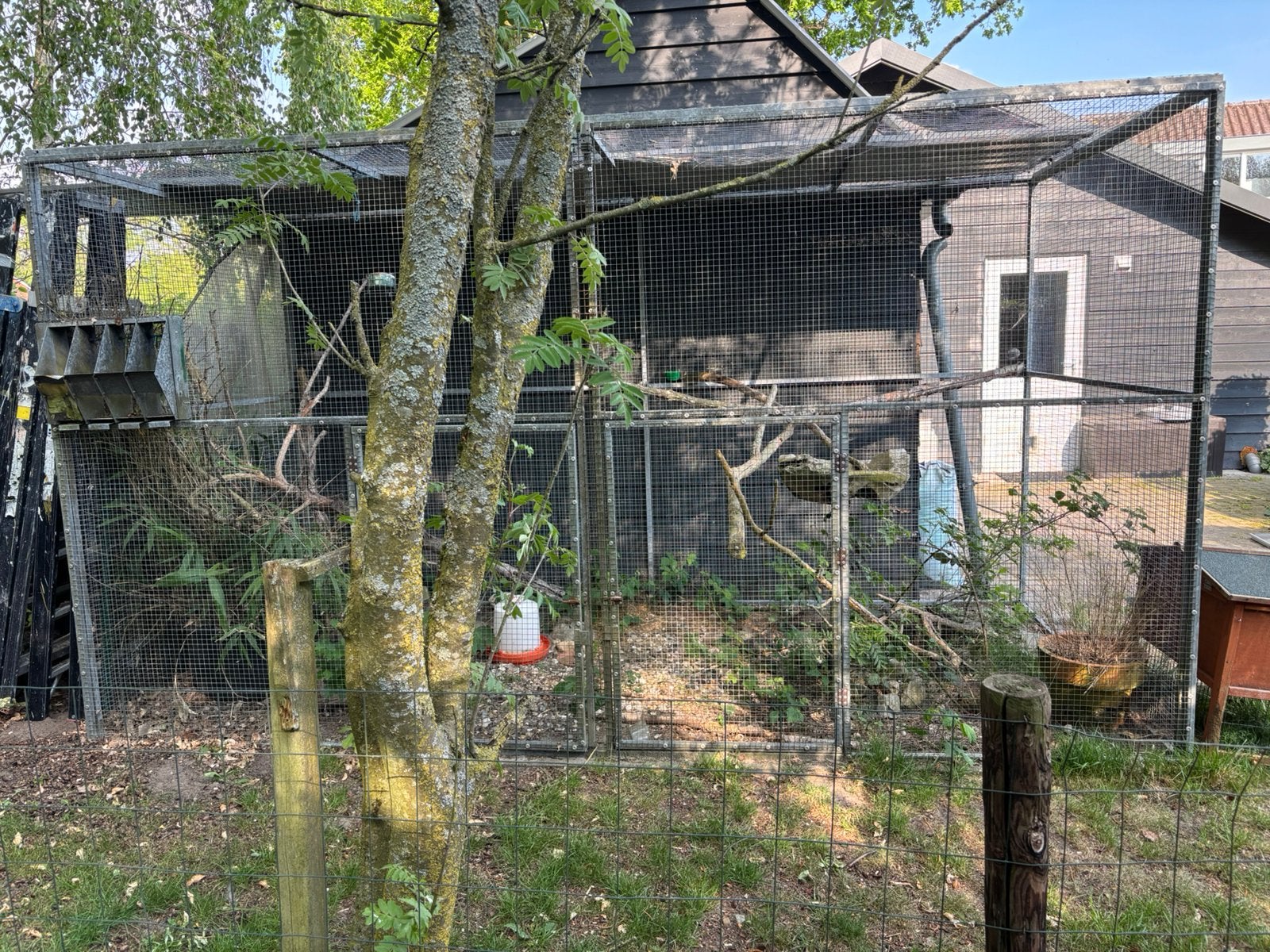 Grote voliere ren metaal, Dieren en Toebehoren, Ophalen, Gebruikt, Kippenhok of Kippenren