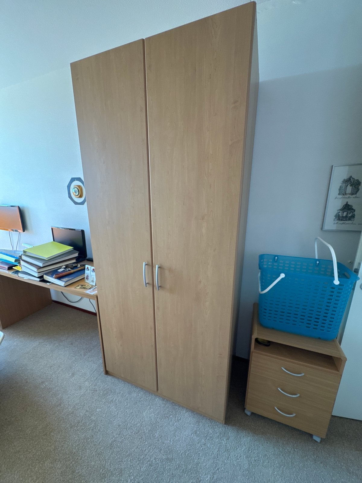 Kledingkast met 1 plank - 220x100x60 cm, Huis en Inrichting, Kasten | Kledingkasten, Ophalen, Gebruikt, 200 cm of meer, 50 tot 100 cm