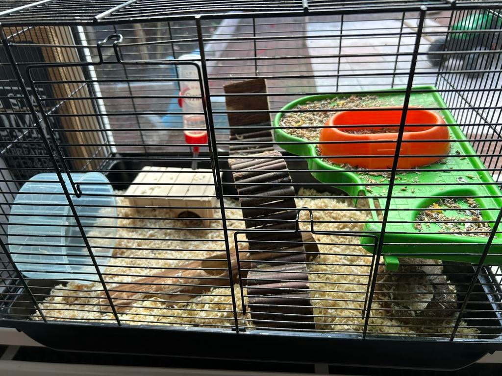 Dwerghamster mannetjes, Dieren en Toebehoren, Kooi, Minder dan 75 cm, Zo goed als nieuw, Ophalen