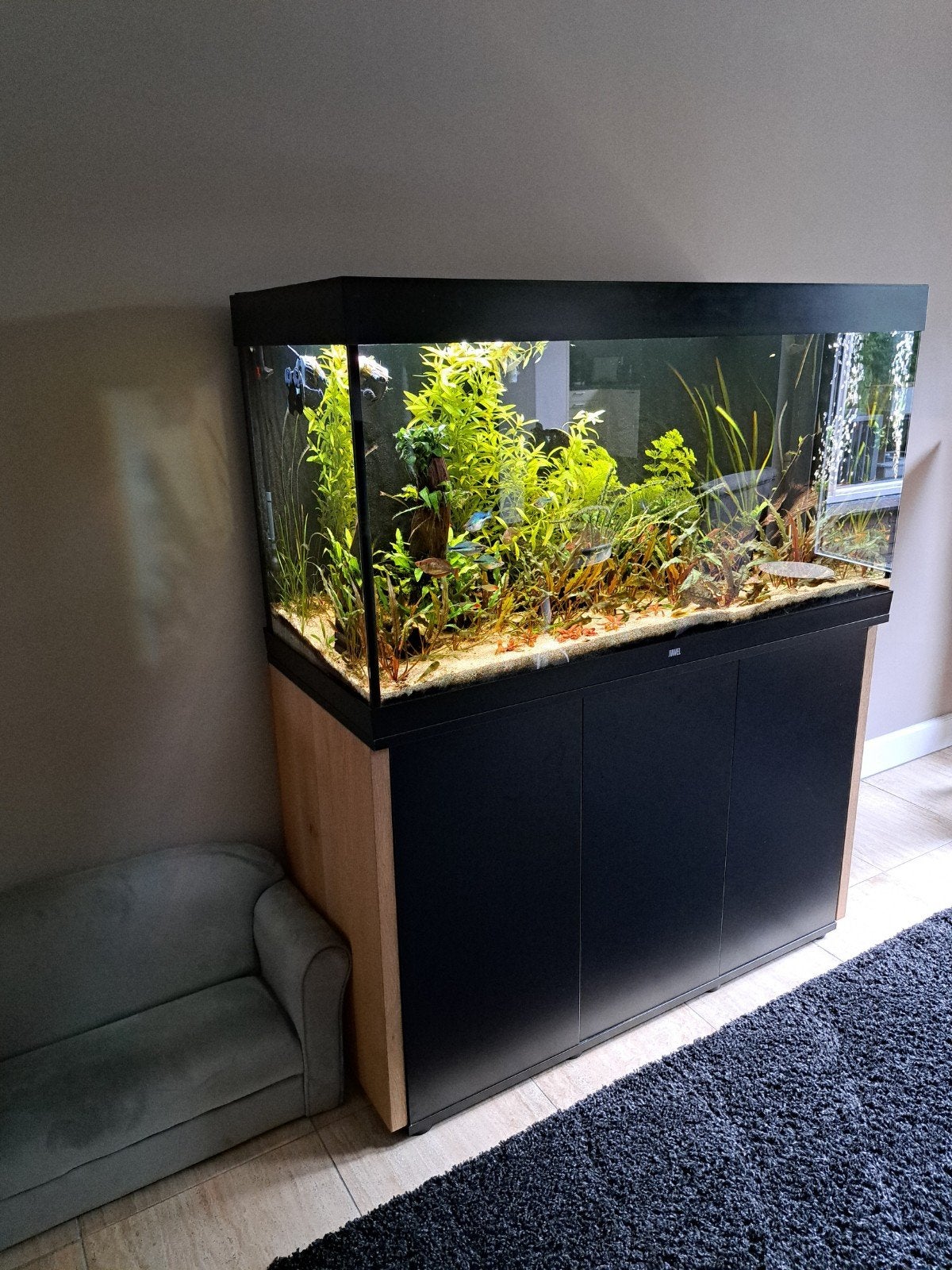 Juwel aquarium 350 liter met eiken panelen!, Ophalen, Gevuld zoetwateraquarium