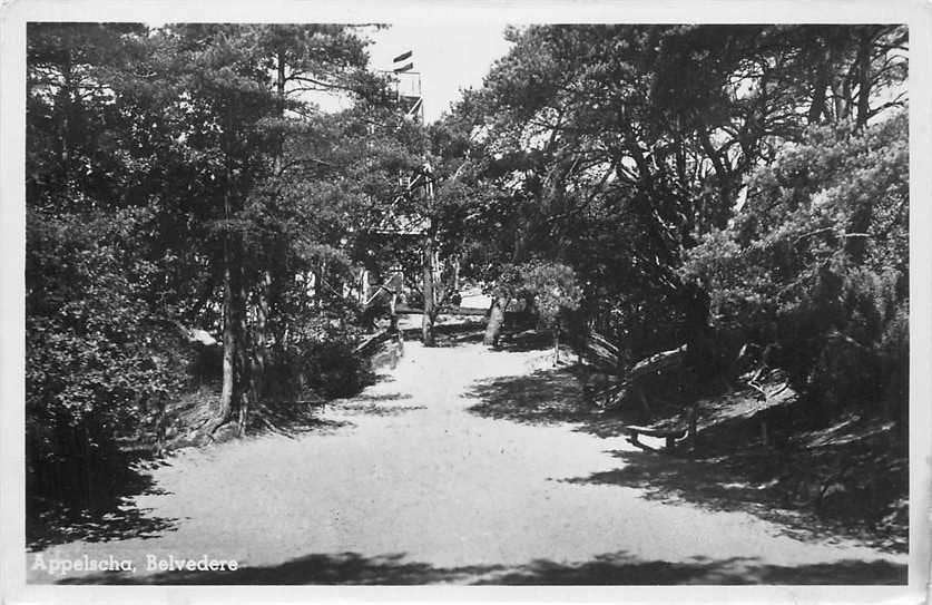 377-343-027 Appelscha Belvedere, Ophalen of Verzenden, Voor 1920, Friesland