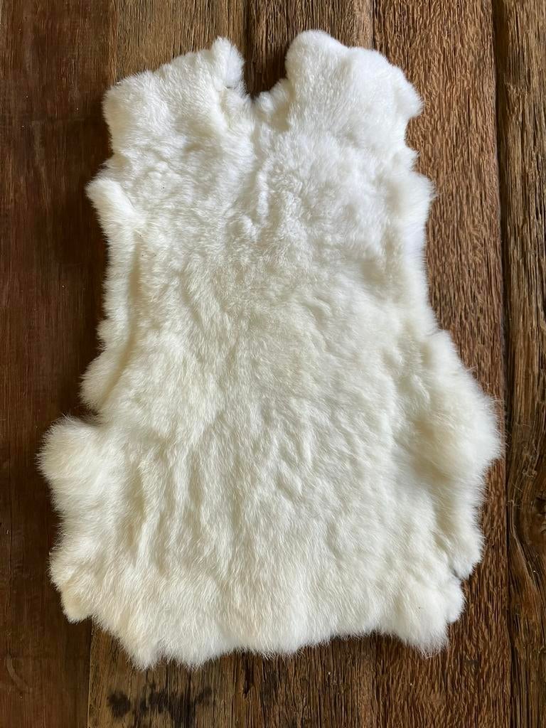 Witte Rex konijnenvachten, Ophalen of Verzenden, Nieuw