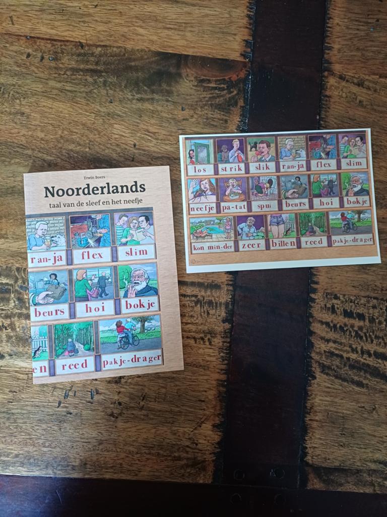 Noorderlands: Taal van de Sleef en het Neefje, Boeken, Non-fictie, Nederlands, Ophalen of Verzenden, Zo goed als nieuw