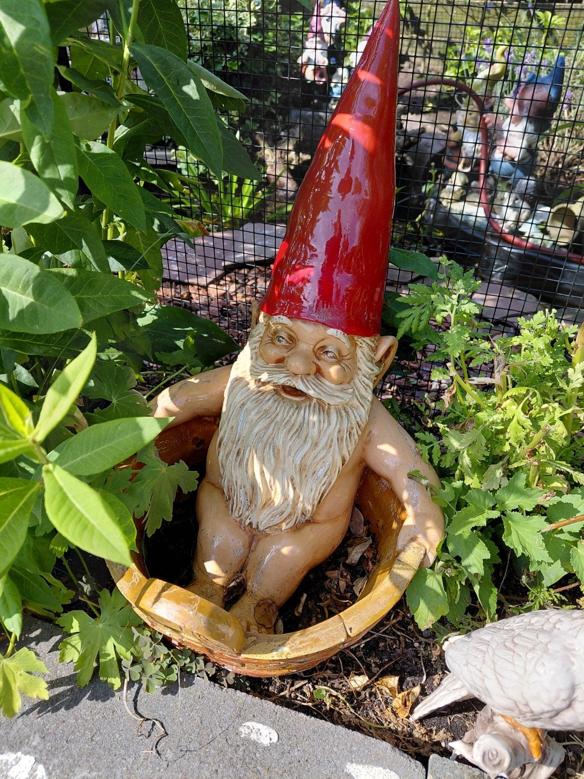 David de Kabouter in badkuip - bekend van Rien Poortvliet, Tuin en Terras, Ophalen, Nieuw, Kunststof