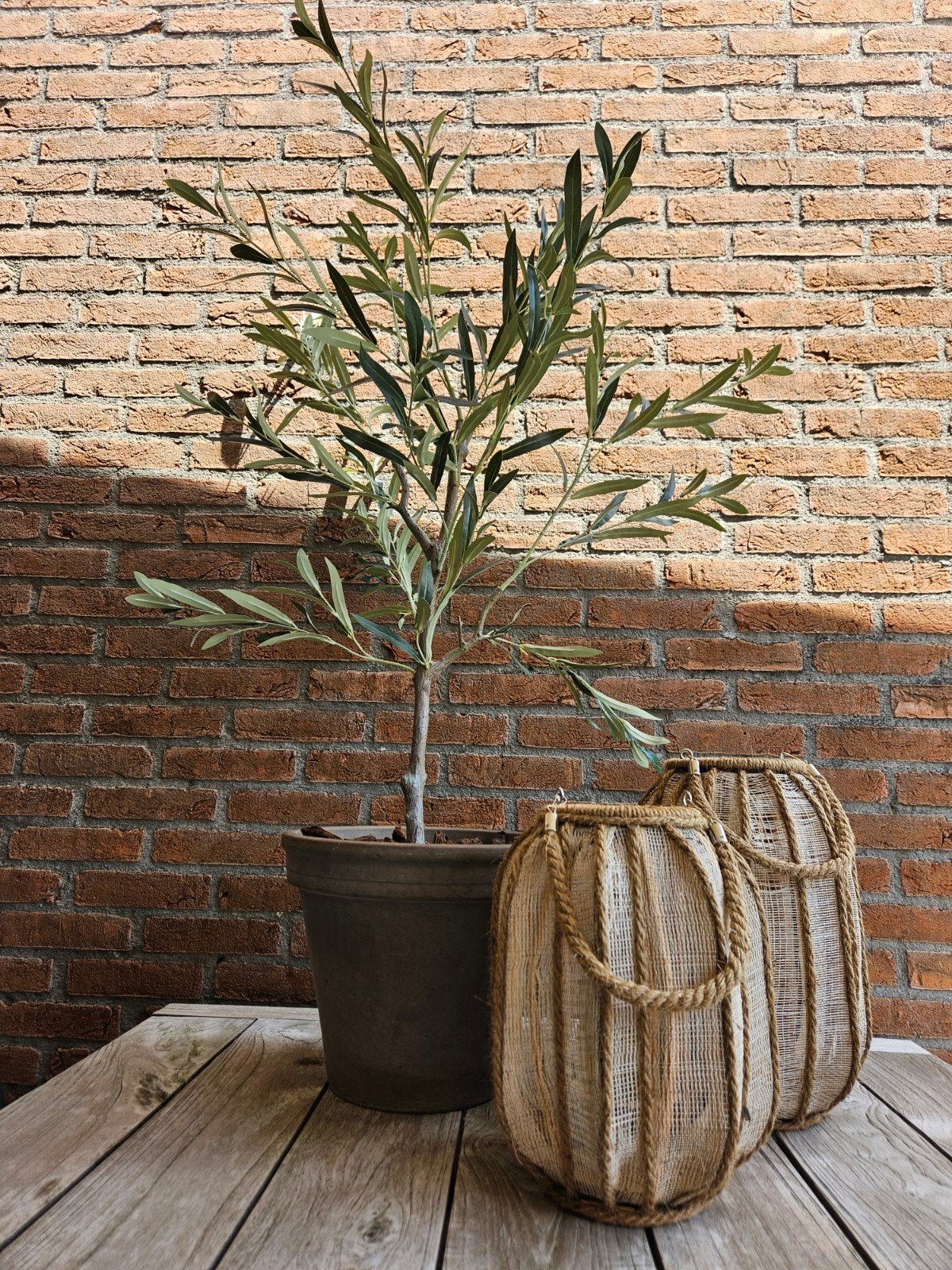 Kunst olijfboom in pot, Bloeit niet, 100 tot 250 cm, Olijfboom, Ophalen