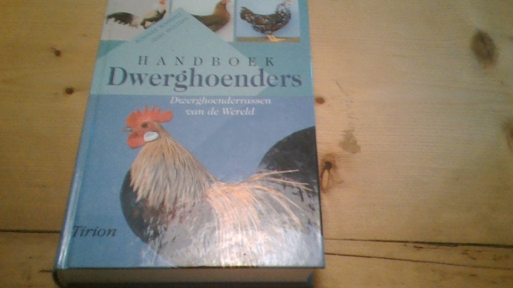 Dwerghoenders, Meerdere dieren, Kip
