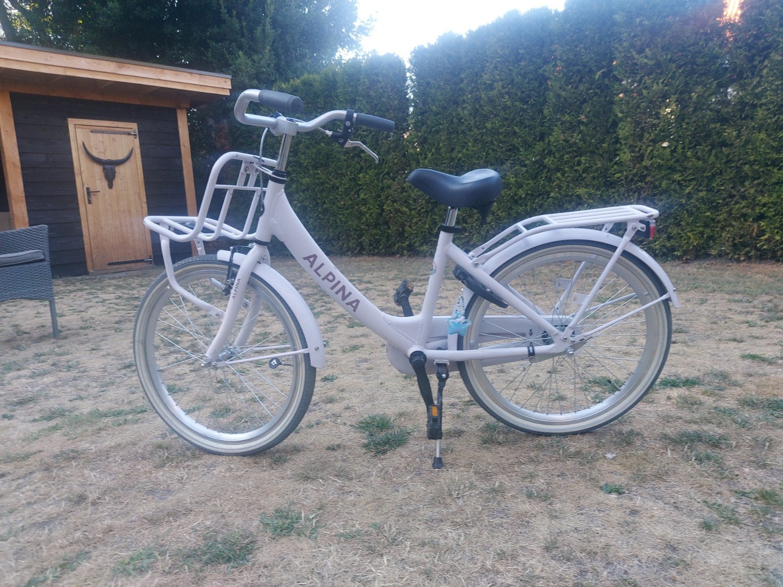 Alpina Clubb Meisjesfiets 22 inch - Frosty Pink Matt, Ophalen, Terugtraprem, 22 inch, Gebruikt