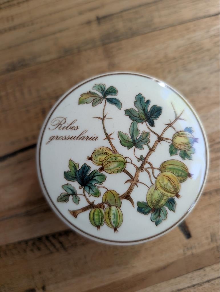 Villeroy & Boch Botanica Ribes Grossularia Doosje, Ophalen
