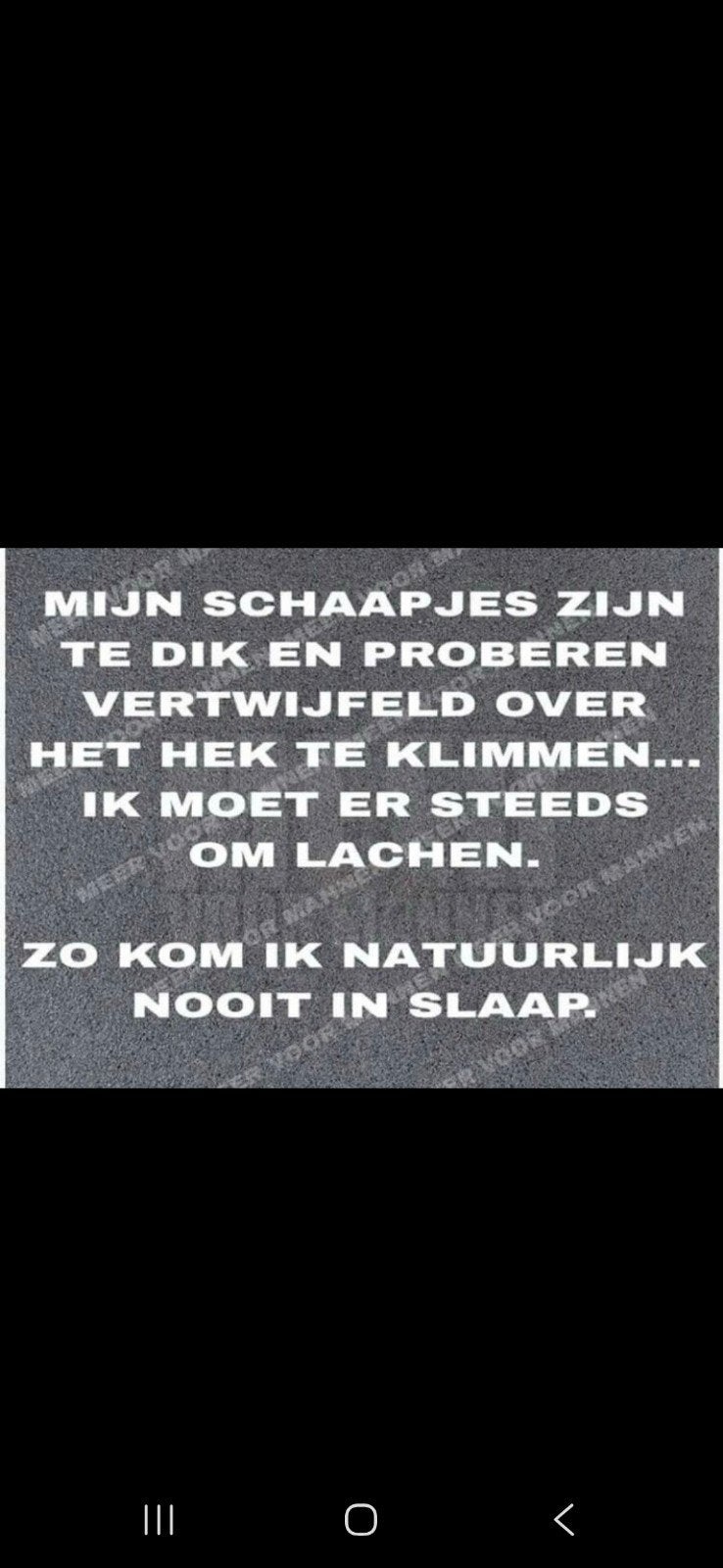 Dringend gezocht weide + stal, Dieren en Toebehoren, Stalling en Weidegang