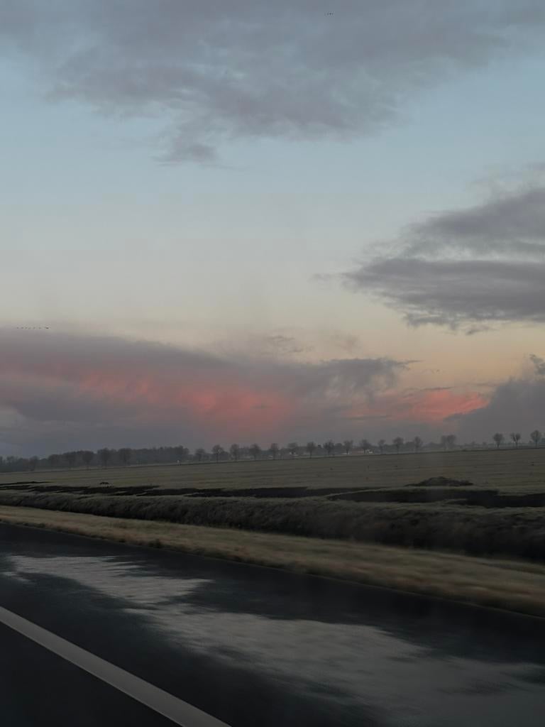 Stal/weide te koop/huur gezocht, Dieren en Toebehoren, Stalling en Weidegang, 4 paarden of pony's of meer