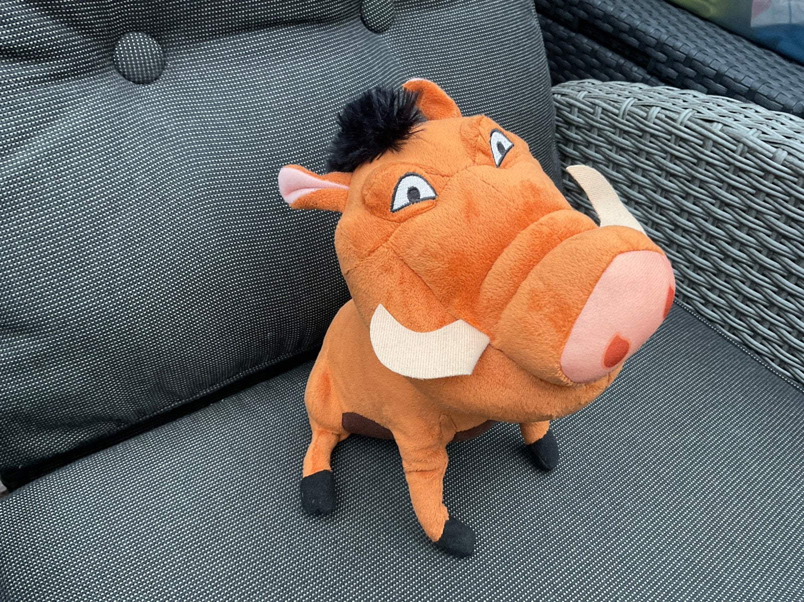 Nieuwe zgan Disney Lion King Pumba knuffel ca 25cm, Ophalen, Leeuwenkoning of Jungle Boek, Nieuw, Knuffel