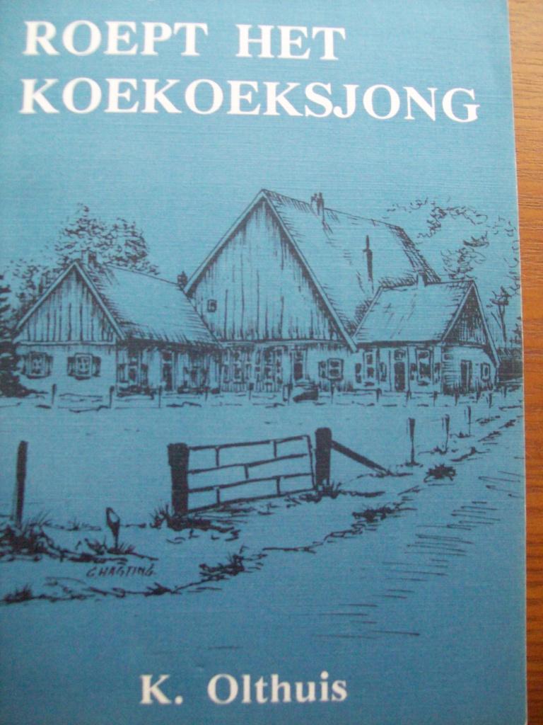Eens roept het Koekoeksjong.  (Twente), Boeken, Verzenden, K. Olthuis, 20e eeuw of later, Gelezen