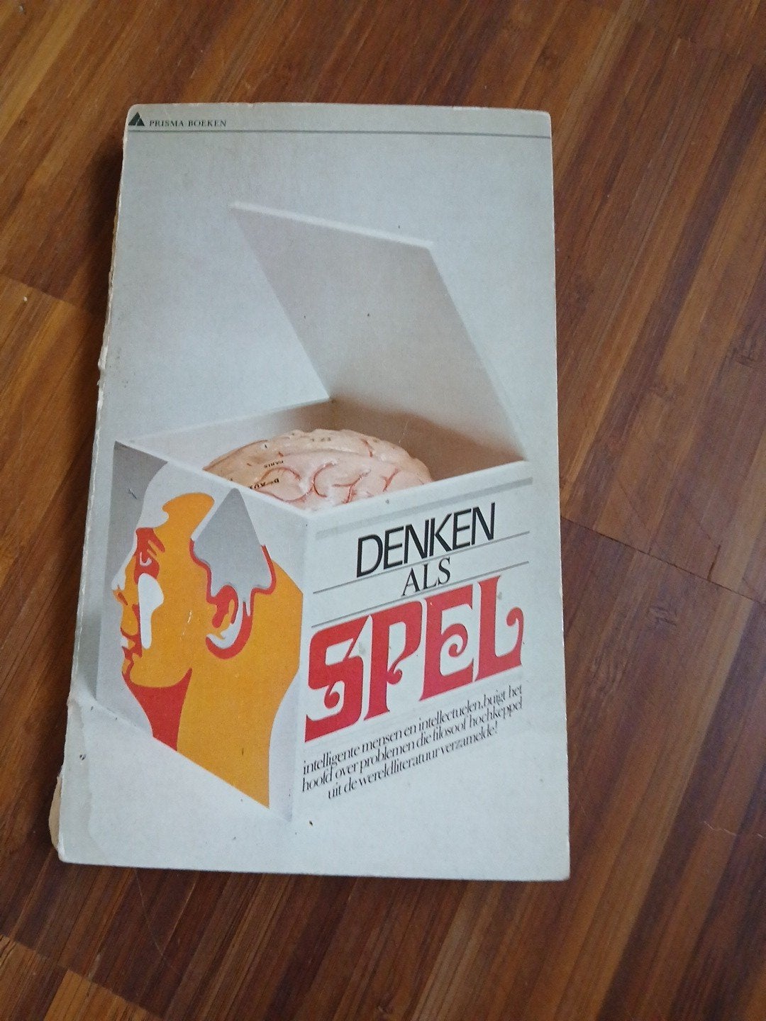 denken als spel, Ophalen of Verzenden, Gebruikt, Overige typen