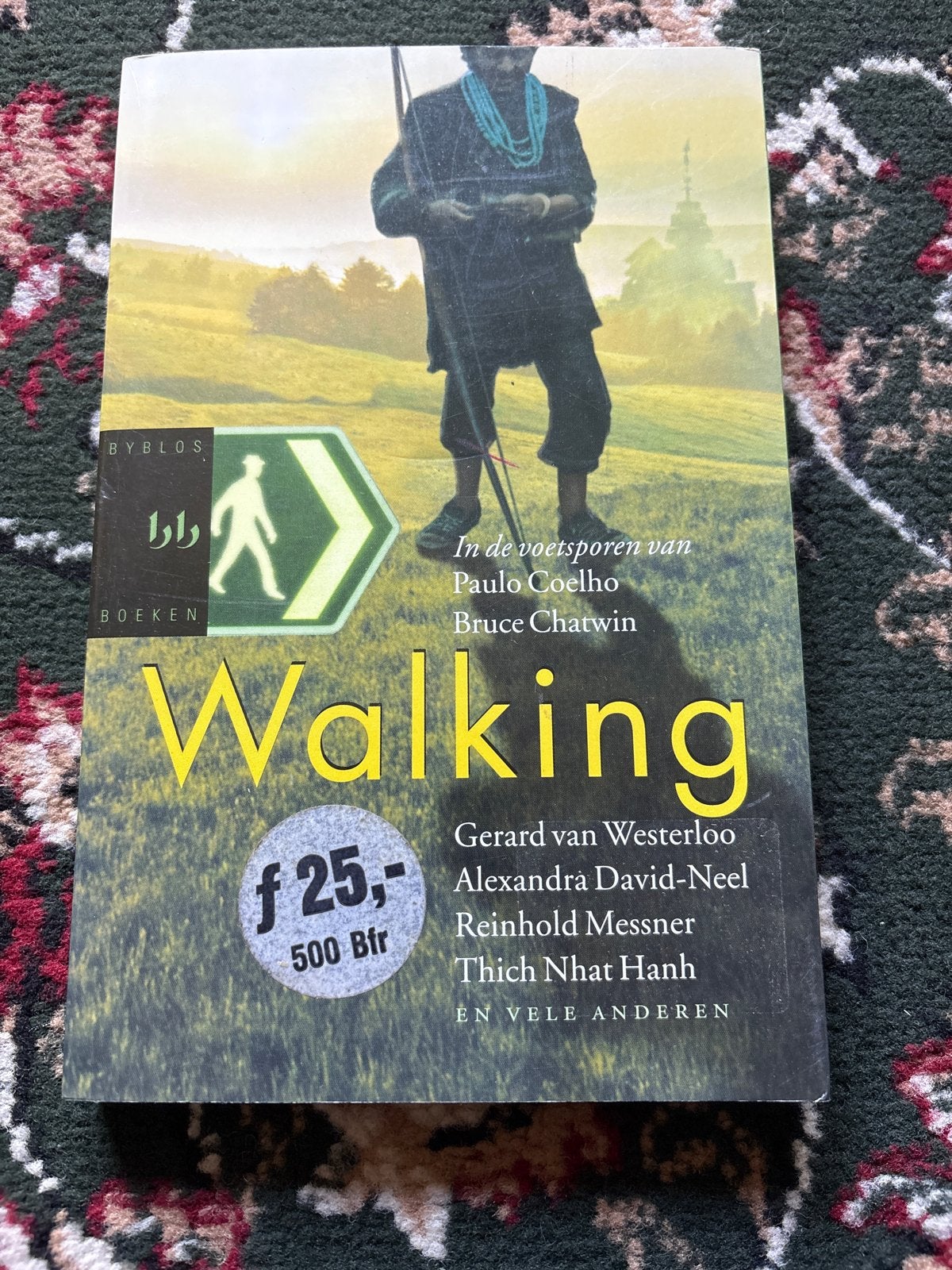 Walking: In de voetsporen van Paulo Coelho e.a., Europa, Ophalen of Verzenden, Reisgids of -boek, Gelezen