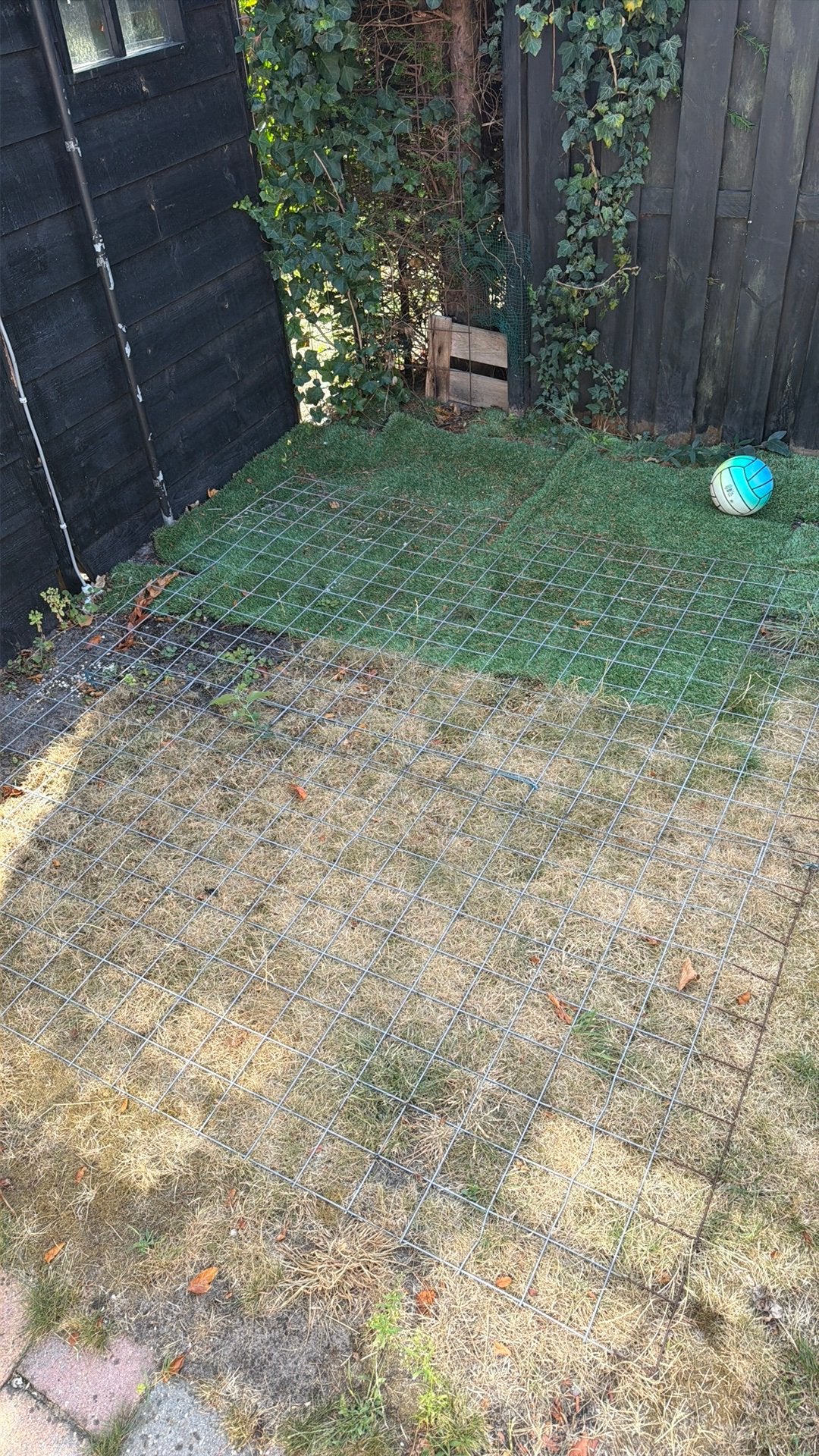 Gratis ophalen rooster bloemen klimop gaaspaneel, Ophalen, Gebruikt, Beton, Overige typen