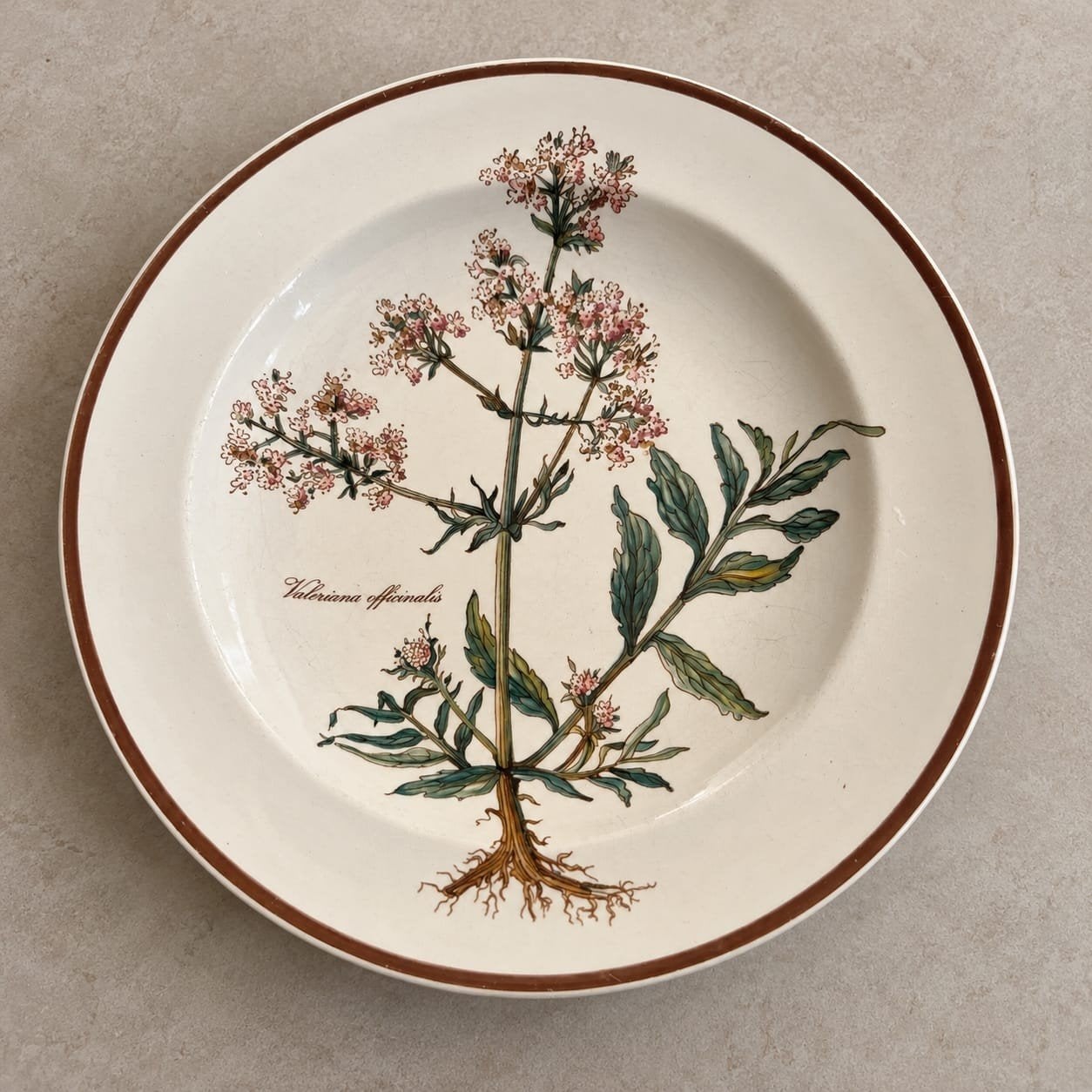 4 Villeroy & Boch Botanica diepe borden, Ophalen