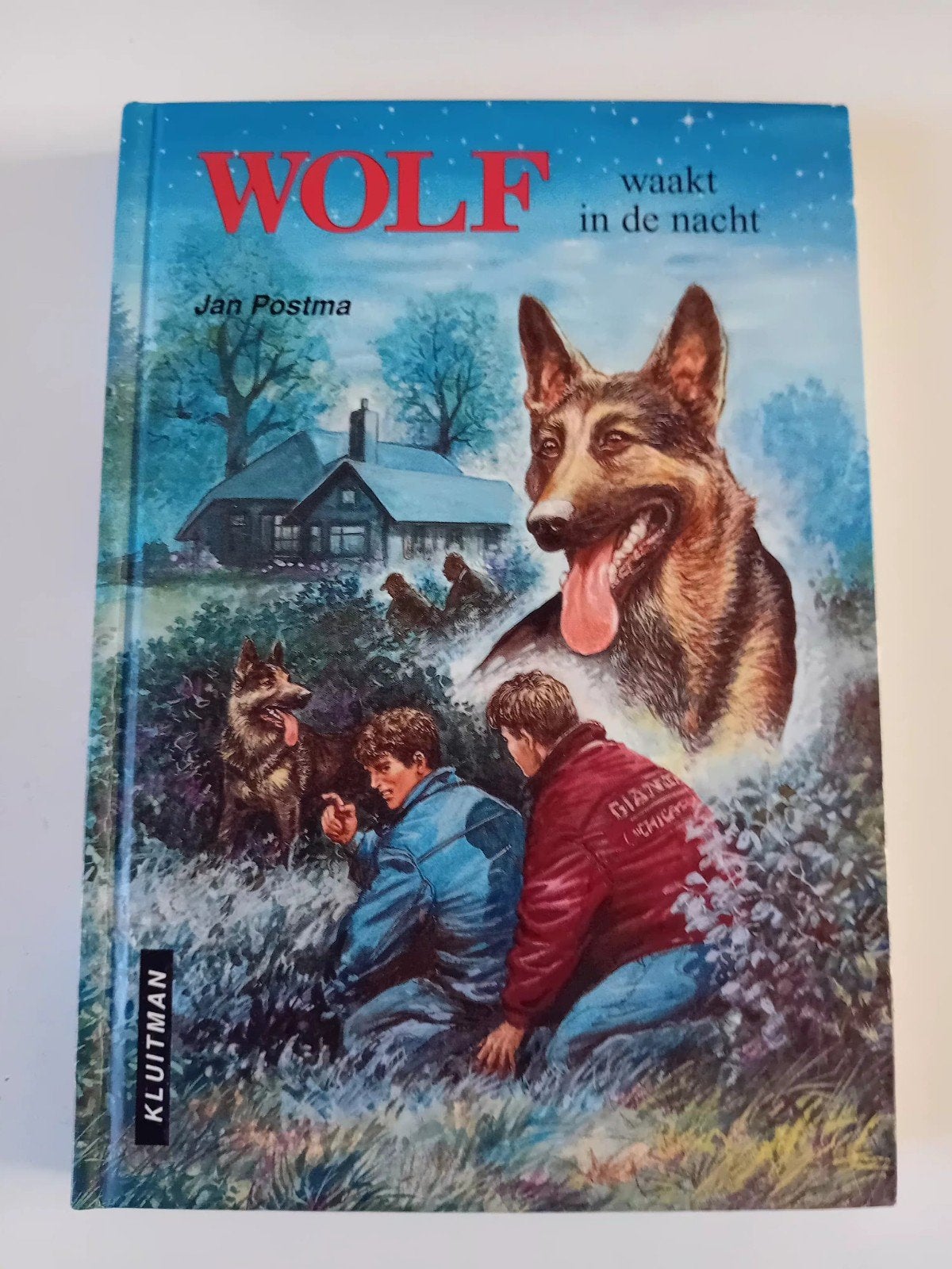 Wolf waakt in de nacht - Jan Postma, Boeken, Ophalen of Verzenden, Zo goed als nieuw