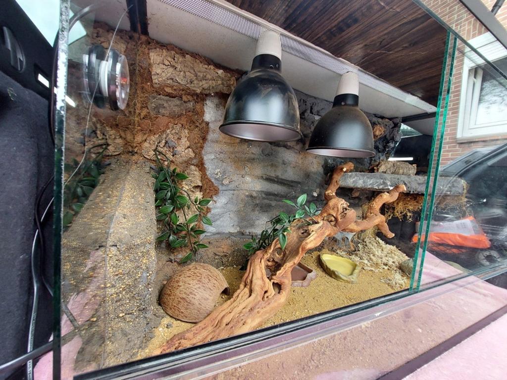Te koop terrarium, Dieren en Toebehoren, Ophalen, Zo goed als nieuw