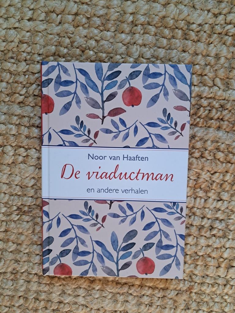 Noor van Haaften - De viaductman, Boeken, Ophalen of Verzenden, Zo goed als nieuw, Noor van Haaften