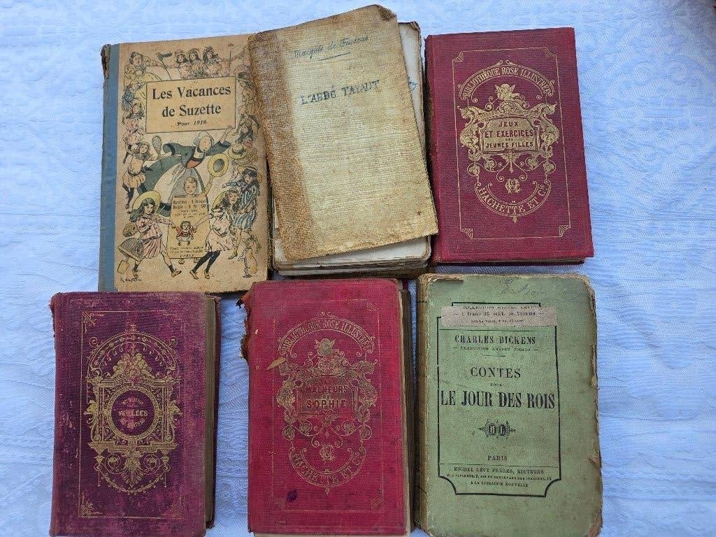 Antieke Franse boeken – Bibliothèque Rose, Jules Verne, Antiek en Kunst, Ophalen of Verzenden