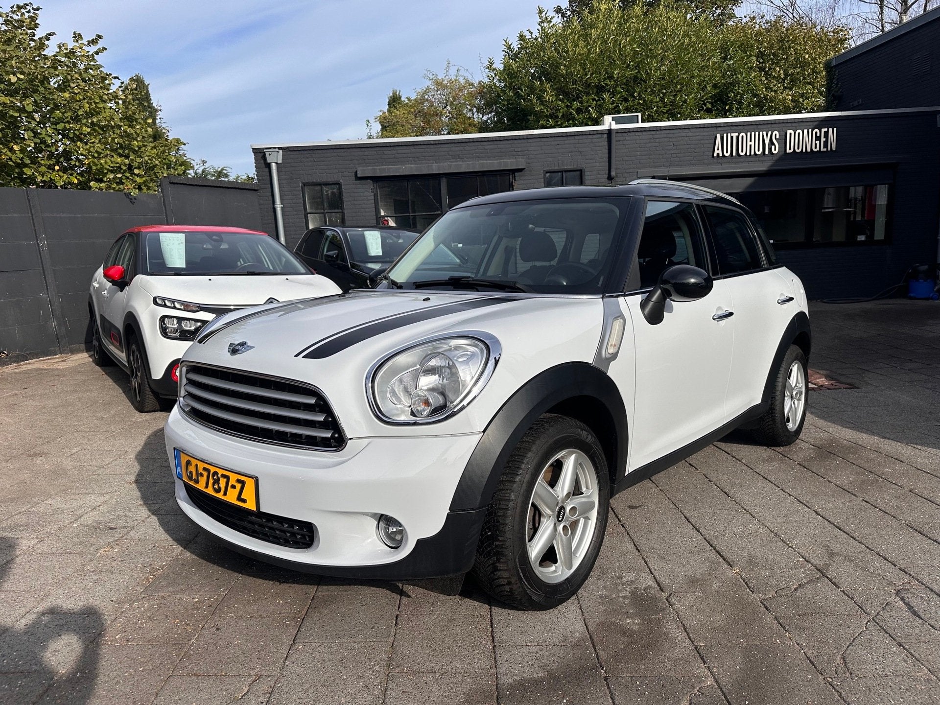 Mini Countryman 1.6 Cooper 122pk|Afn. Trkhk|Panodak|All Seas, Auto's, Gebruikt, Euro 6, Bedrijf, SUV of Terreinwagen