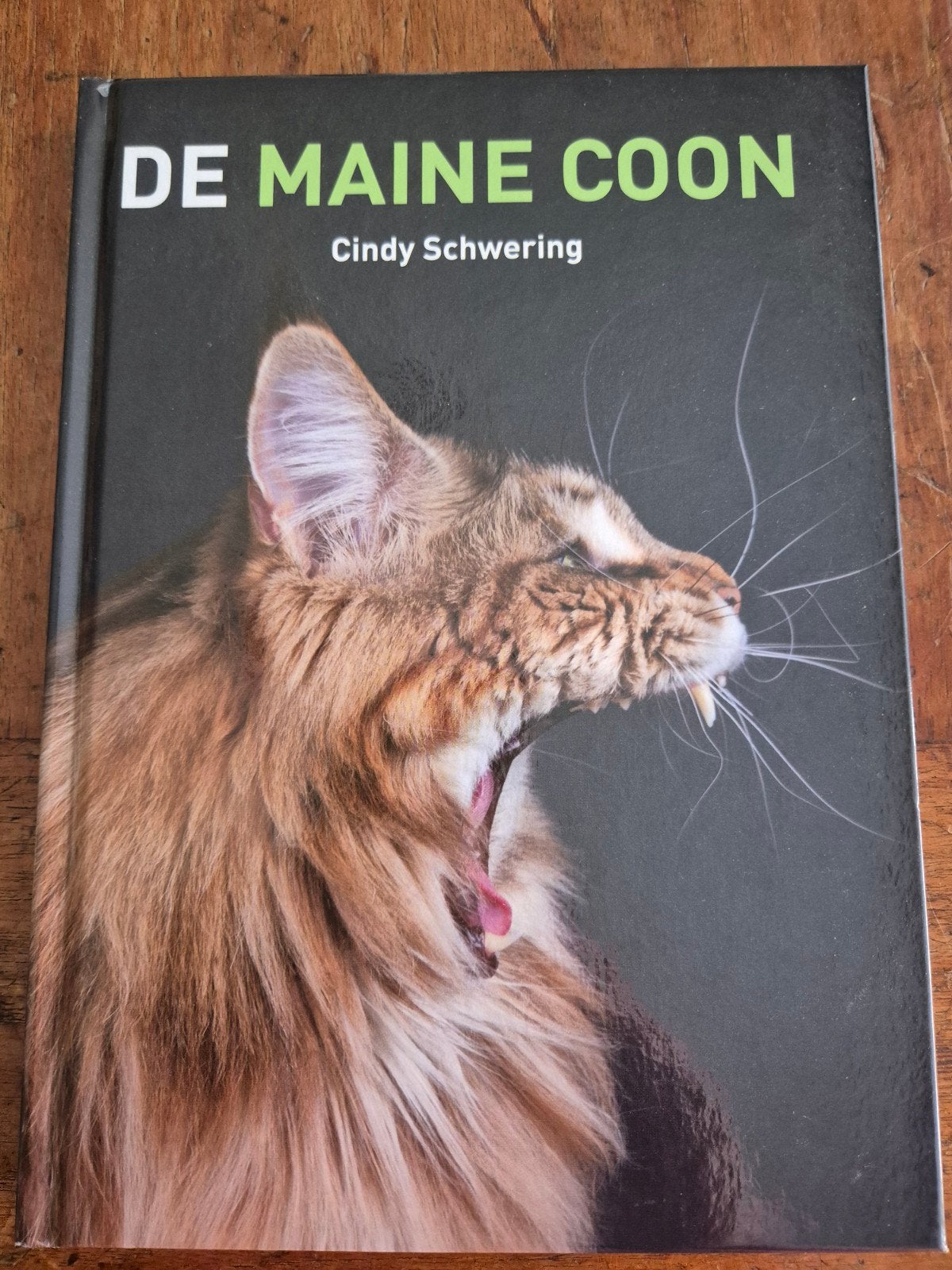 De Maine Coon - Boek over raskatten, Ophalen of Verzenden, Zo goed als nieuw, Katten, Cindy Schwering