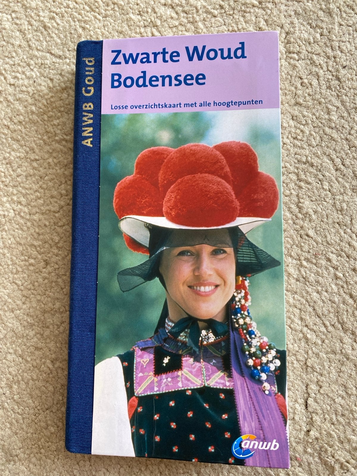 ANWB Goud Reisgids Zwarte Woud | Bodensee, Boeken, Reisgidsen, Europa, Ophalen of Verzenden, Zo goed als nieuw, Reisgids of -boek