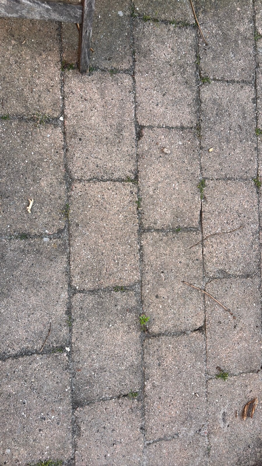 Tuintegels - gratis ophalen, Ophalen, Zo goed als nieuw, Beton, Terrastegels