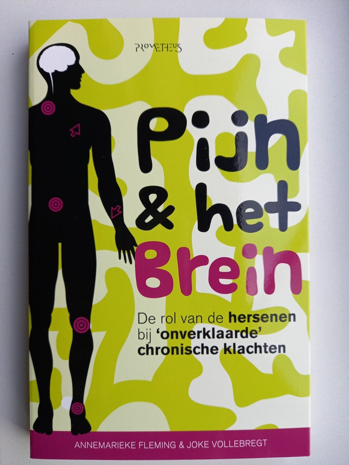 Pijn & het Brein- De rol van de hersenen bij chronische pijn, Ophalen of Verzenden, Zo goed als nieuw, Gezondheid en Conditie