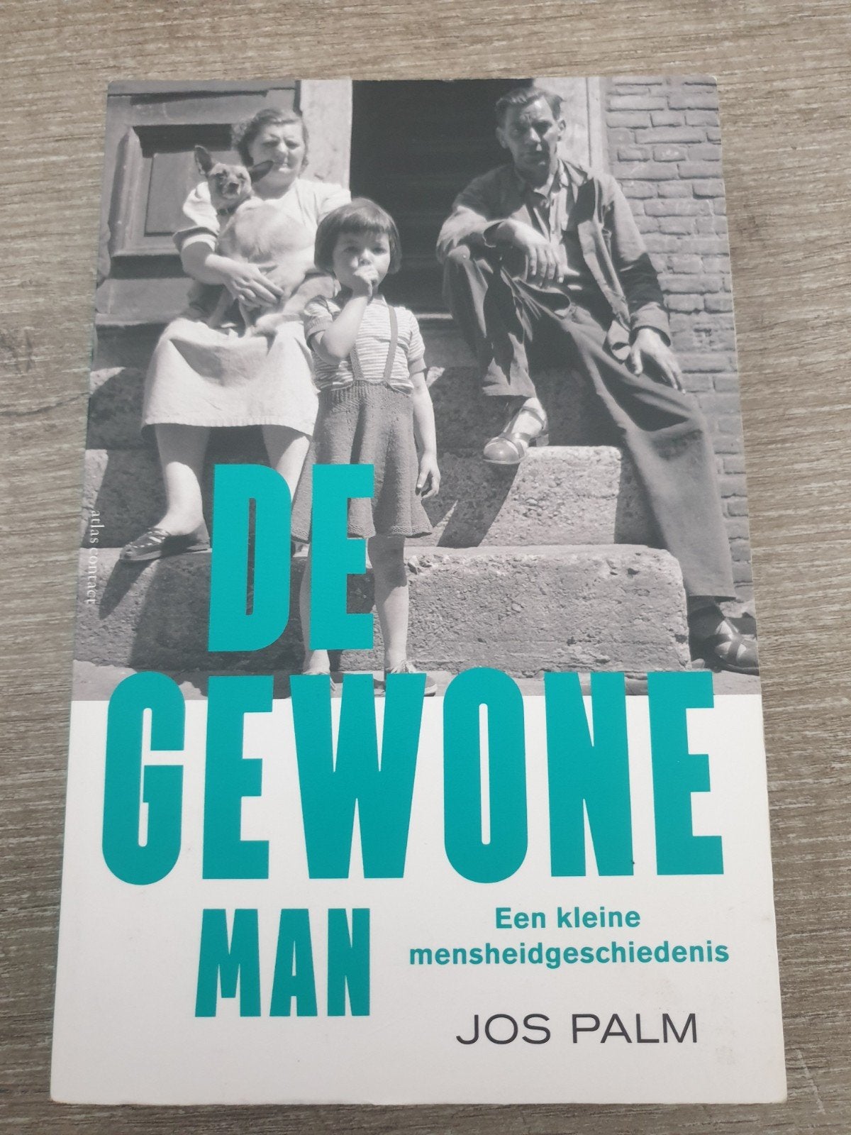 De Gewone Man - Jos Palm - Een kleine mensheidsgeschiedenis, Ophalen of Verzenden, Gelezen, Jos Palm