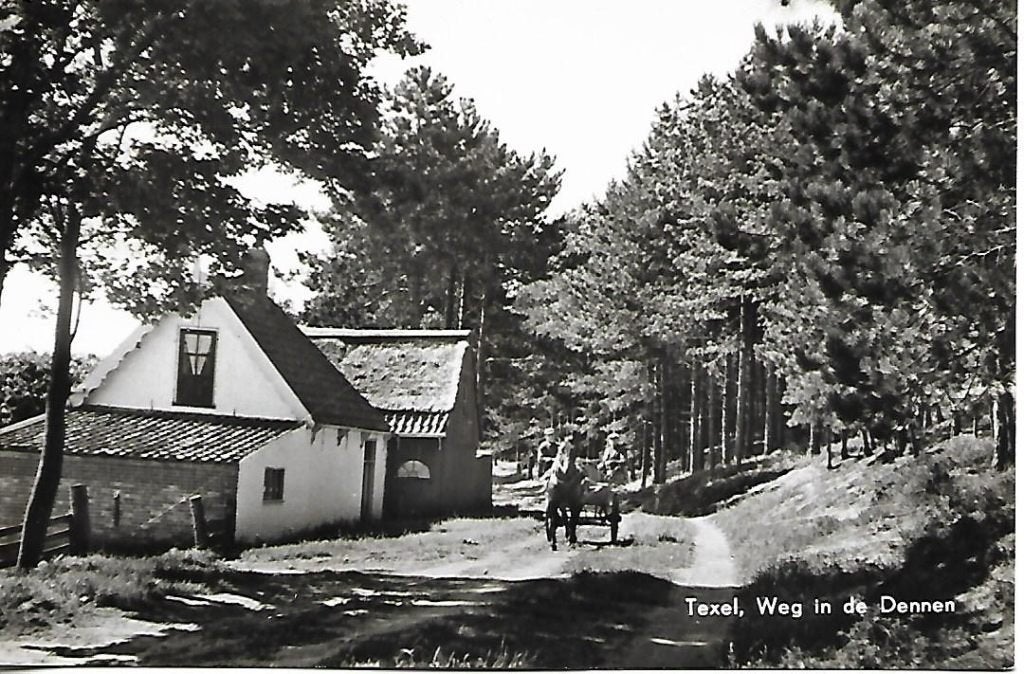 Texel- -Weg in de Dennen., Verzenden, 1960 tot 1980, Ongelopen, Waddeneilanden