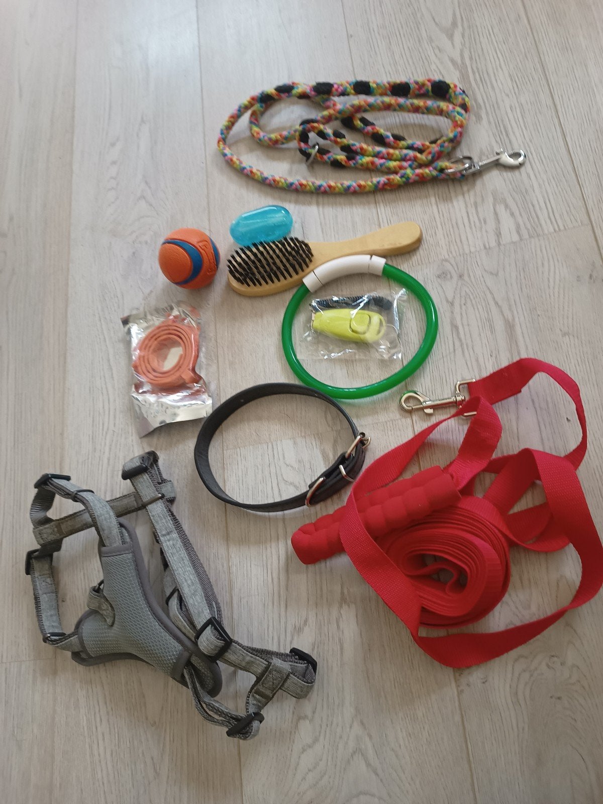 Alles wat je nodig hebt voor je hond, Ophalen of Verzenden, Nieuw