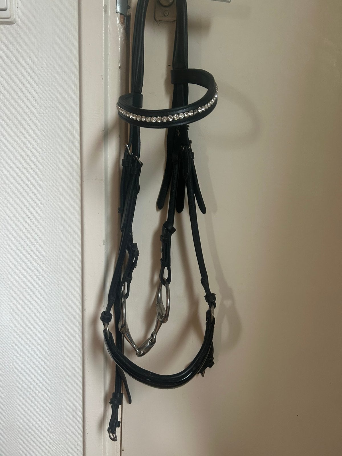 Mooi Premiera hoofdstel, Ophalen of Verzenden, Zo goed als nieuw, Hoofdstel, Cob