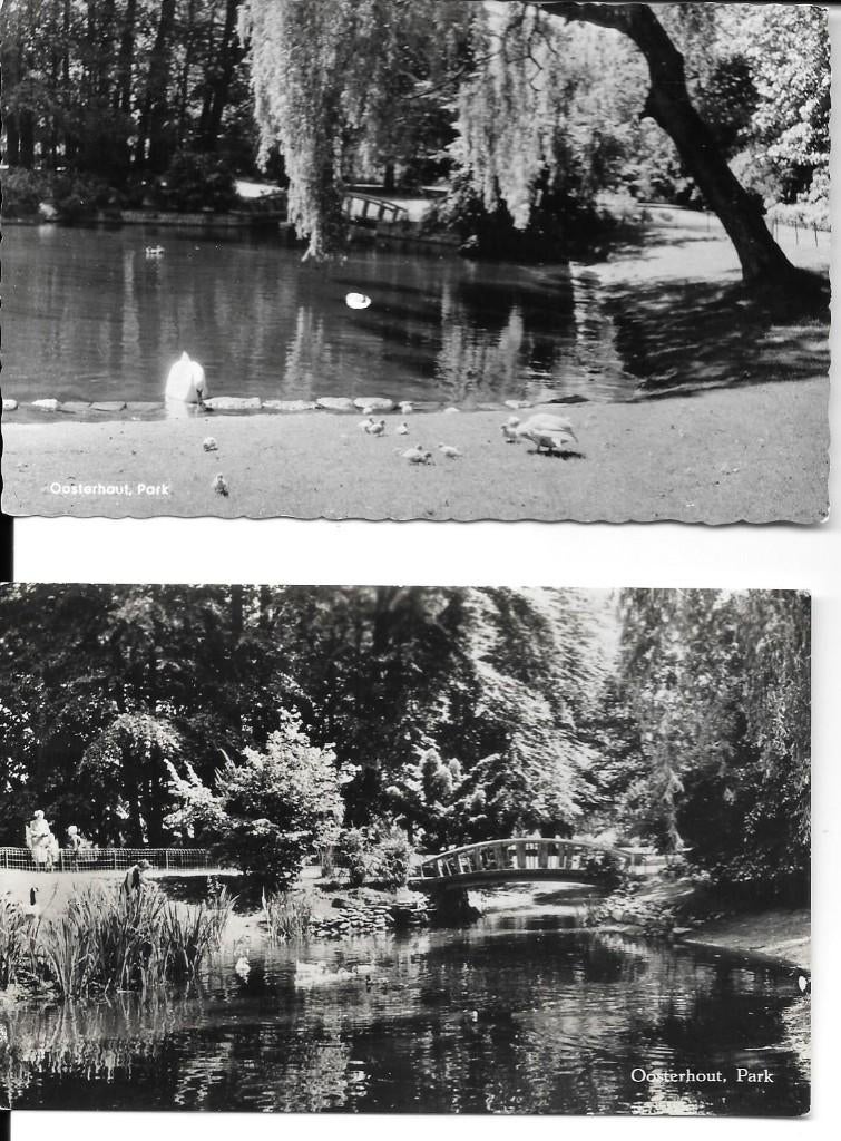 Oosterhout park, Ophalen of Verzenden, 1980 tot heden, Gelopen, Noord-Brabant