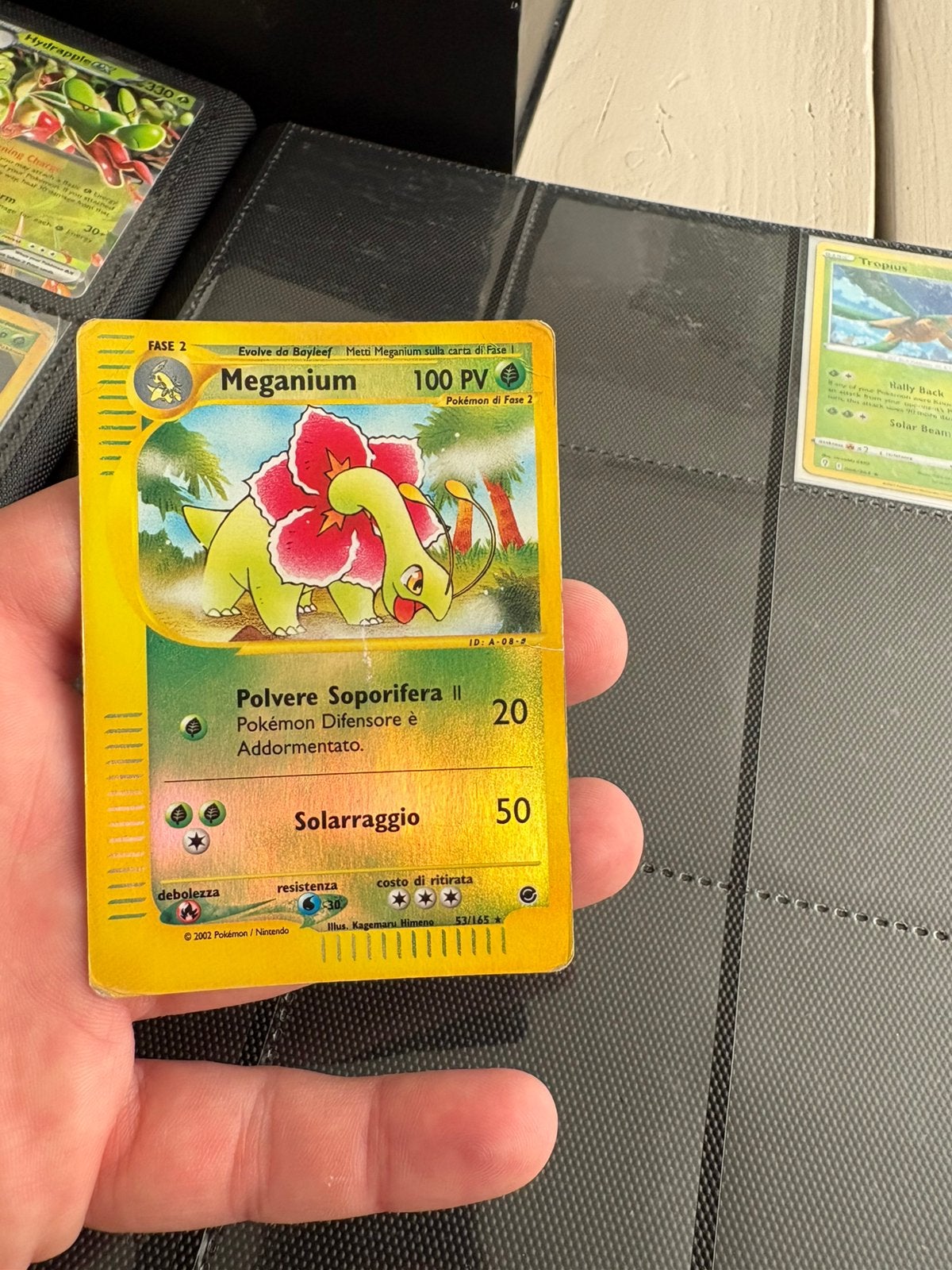Meganium expedition reverse holo, Hobby en Vrije tijd, Verzamelkaartspellen | Pokémon, Ophalen of Verzenden, Zo goed als nieuw