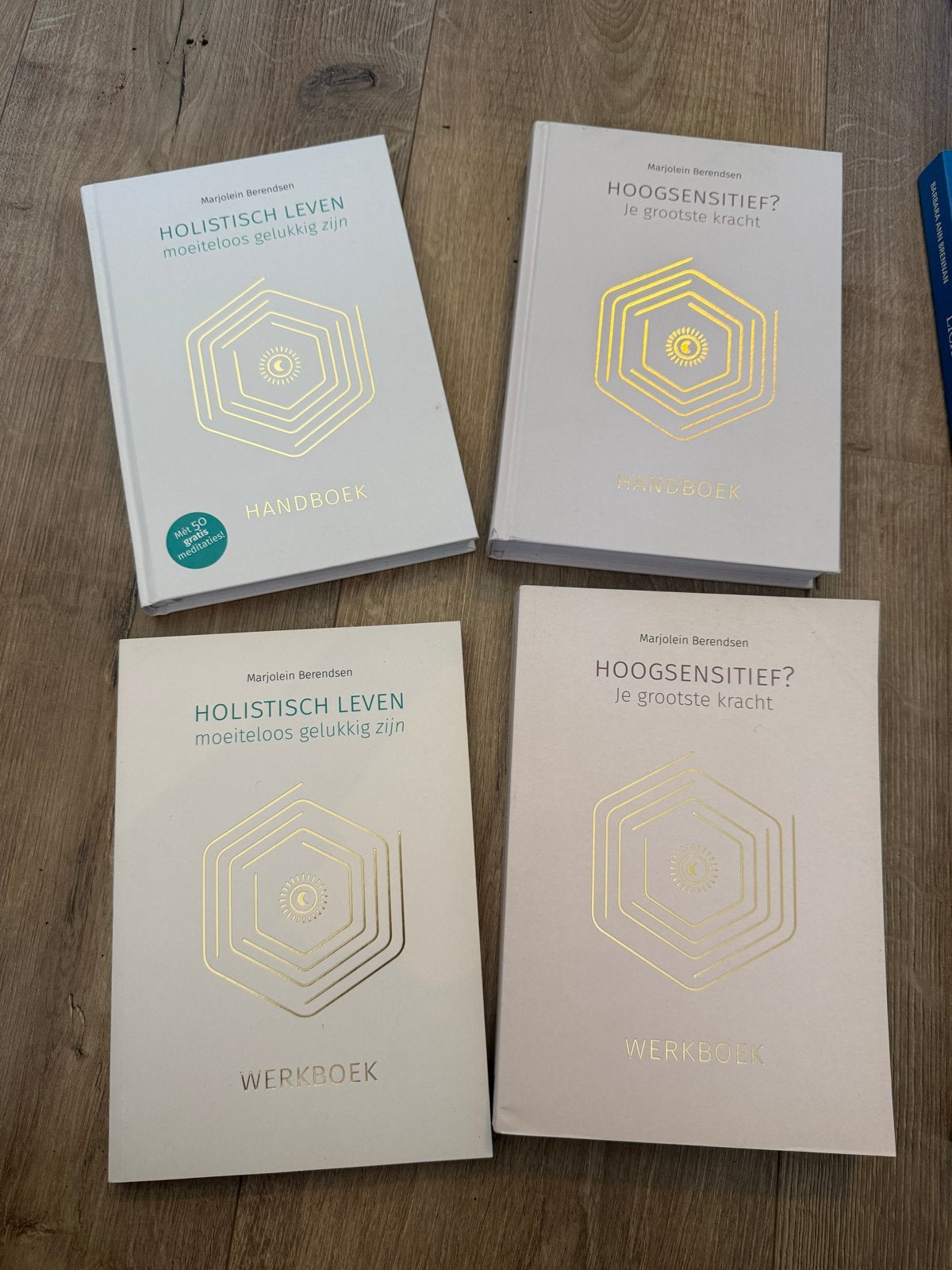 Boekenpakket: Holistisch Leven & Hoogsensitief (Handboek & W, Boeken, Ophalen of Verzenden, Zo goed als nieuw, Spiritualiteit algemeen