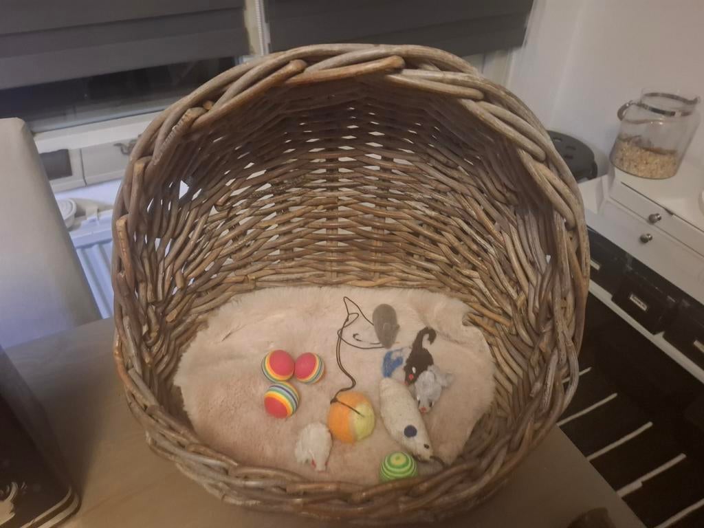 Alles voor de kat( basis en behagelijkheid), Ophalen of Verzenden