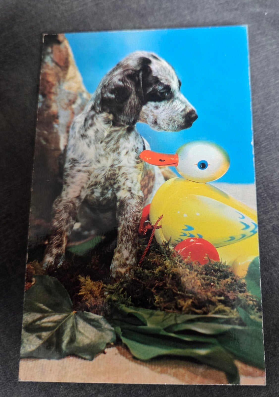 Piepkaart - Puppy met Speelgoed Eend, Verzamelen, Verzenden, 1960 tot 1980, Ongelopen, Hond of Kat