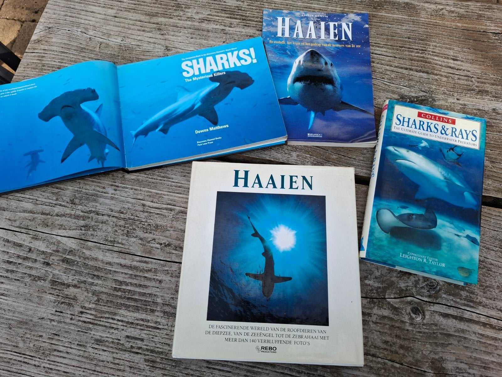 4 boeken over haaien (en roggen), Boeken, Ophalen of Verzenden, Vissen