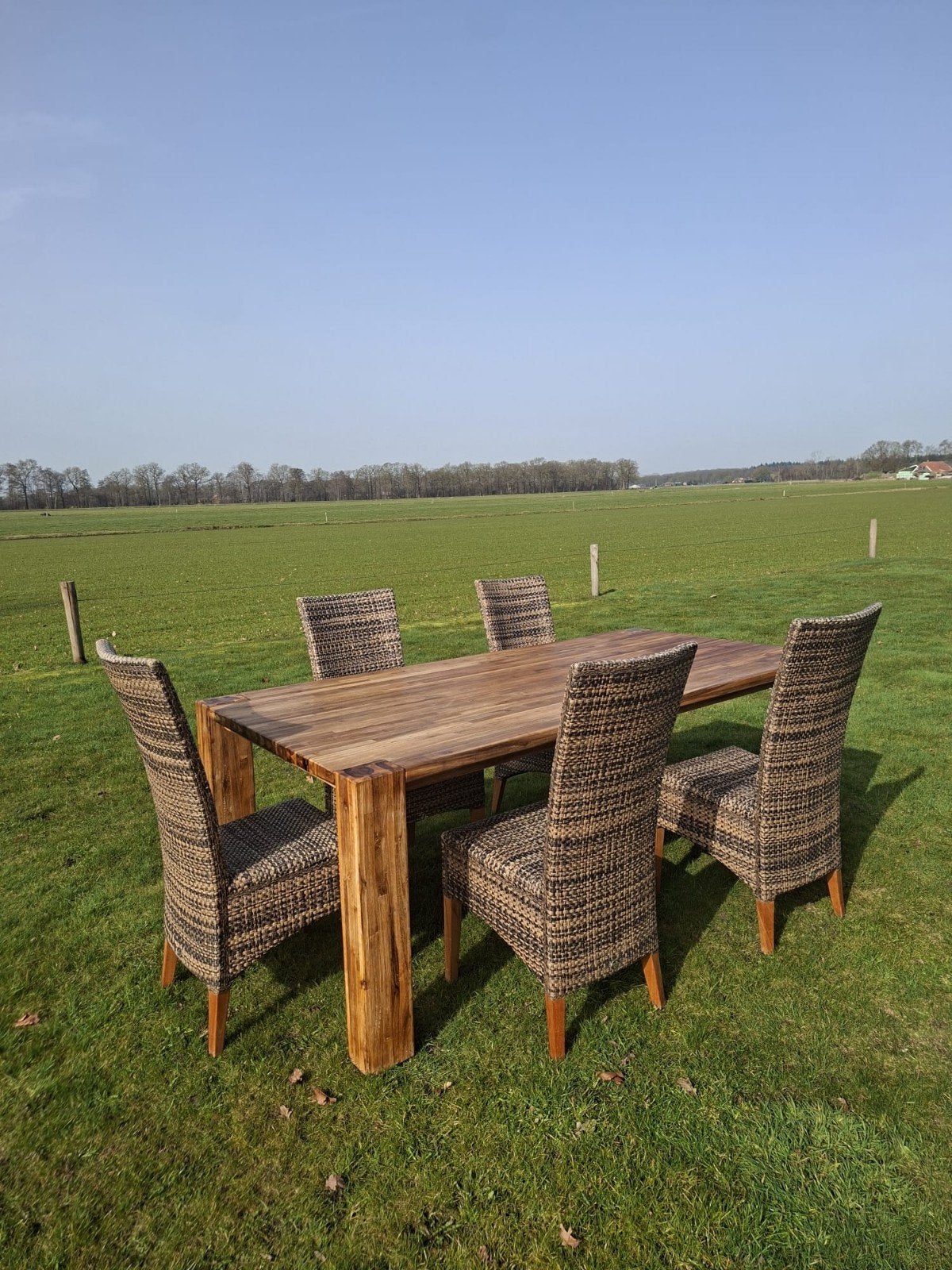 5 eetkamer stoelen, Ophalen of Verzenden, Gebruikt