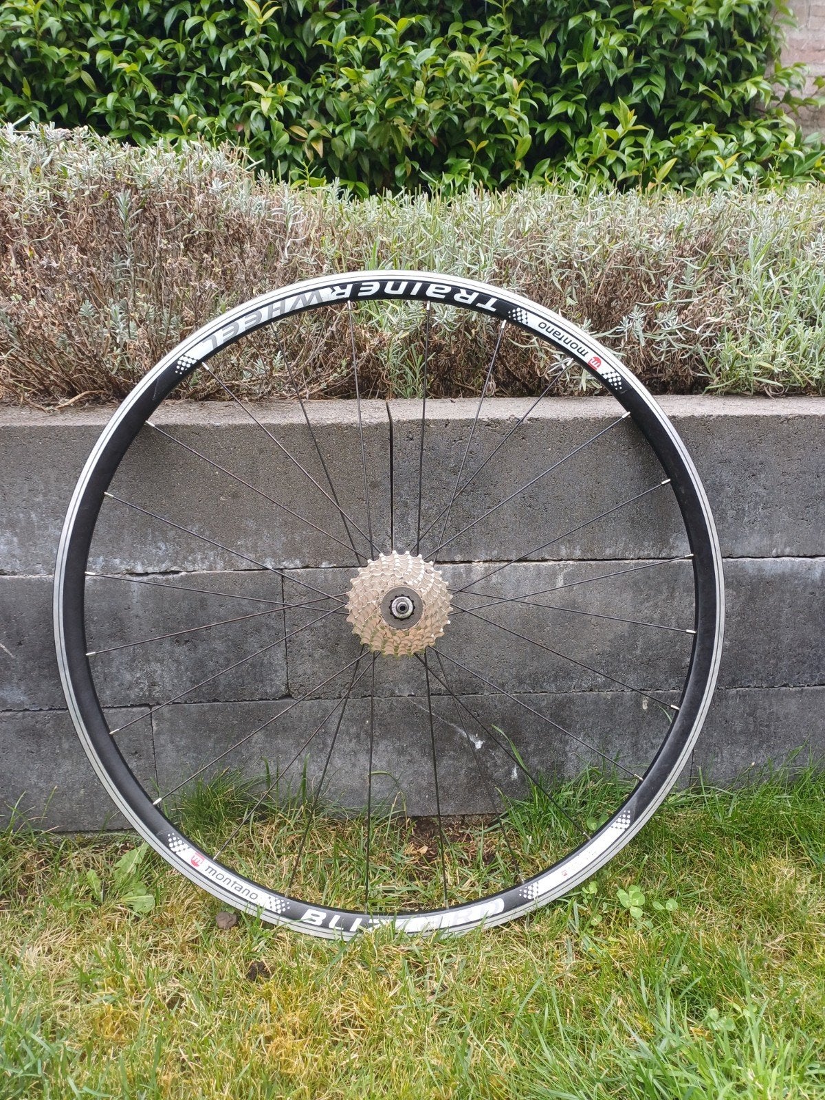 Blizzard Trainingswiel 8-speed cassette + Tacx steekas, Ophalen, Racefiets, Wiel, Aluminium