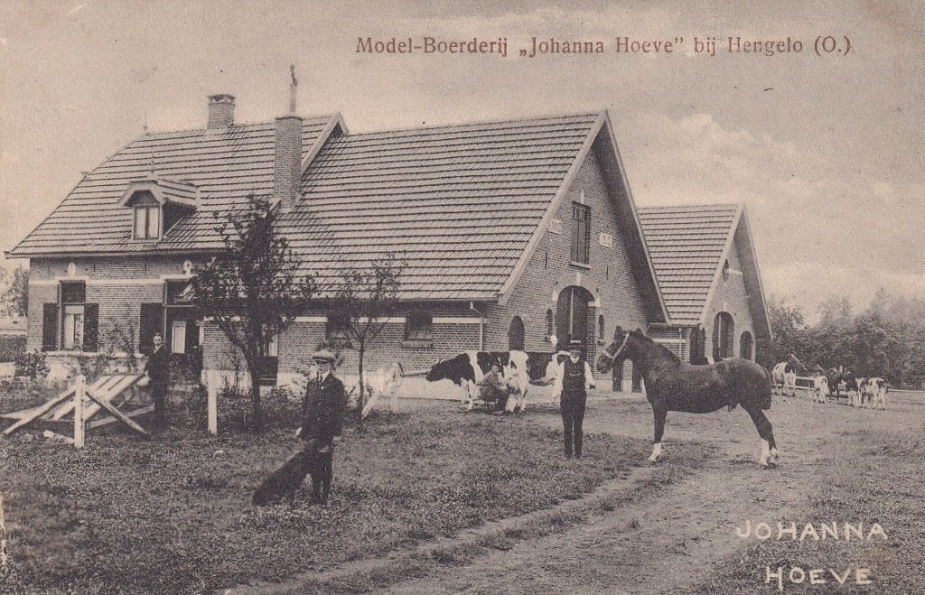 Hengelo, Johanna Hoeve, Paard, Koeien., Verzenden, Voor 1920, Ongelopen, Overijssel
