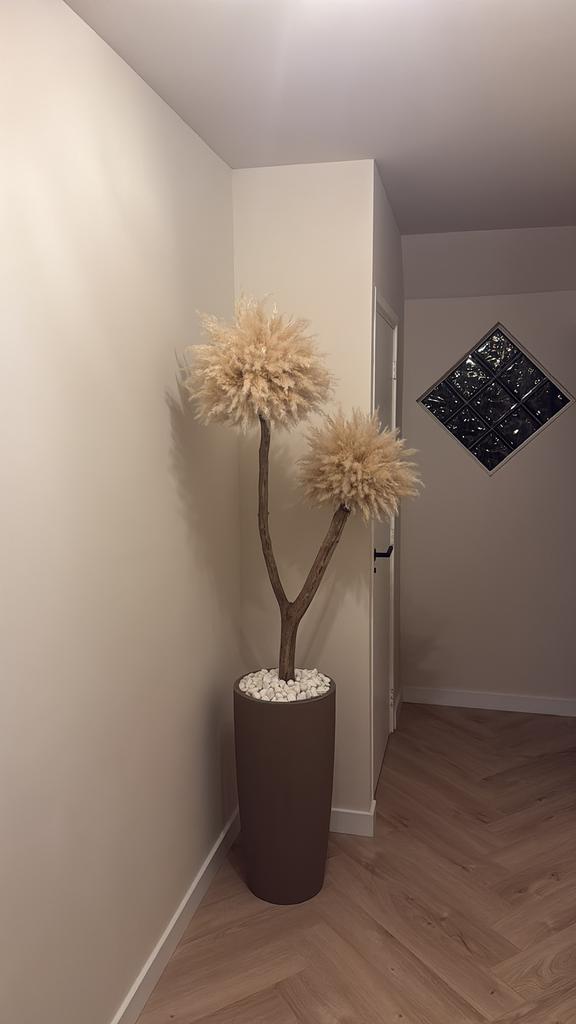Pampas boom inclusief pot, Ophalen, Binnen, Natuurlijk materiaal, Beige