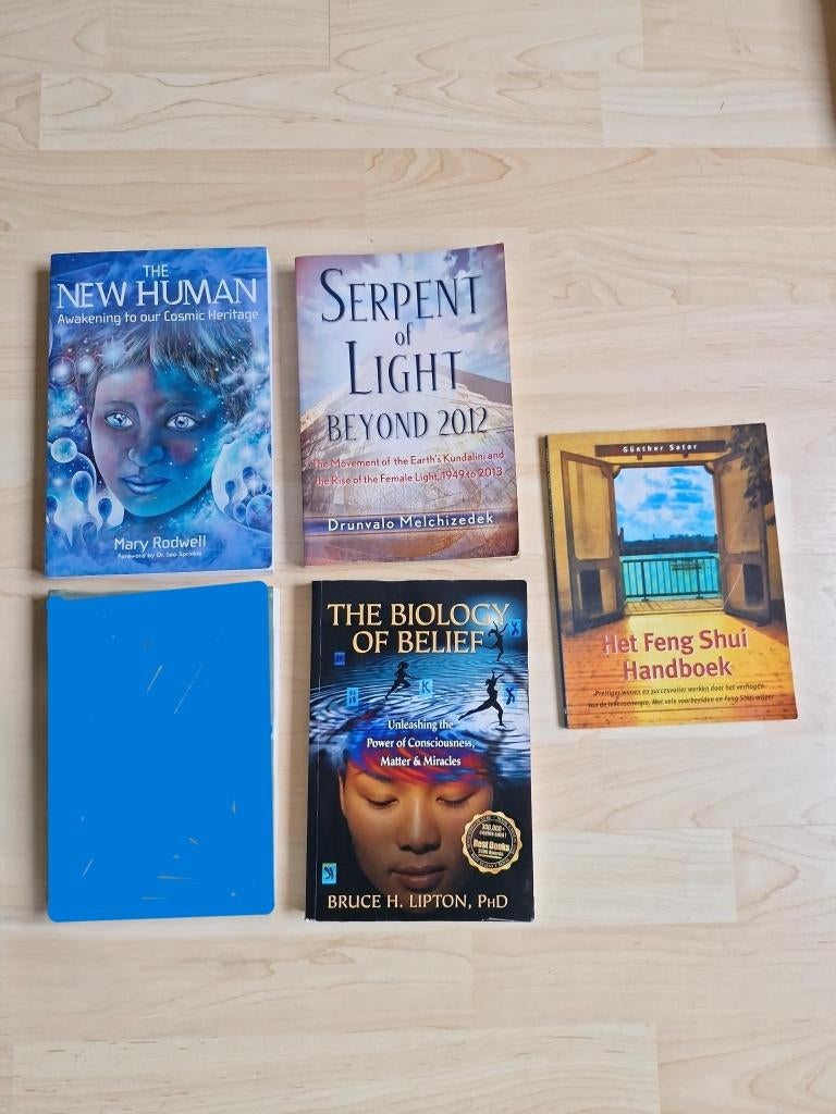 Spirituele boeken, Boeken, Ophalen of Verzenden, Gelezen, Spiritualiteit algemeen, Overige typen